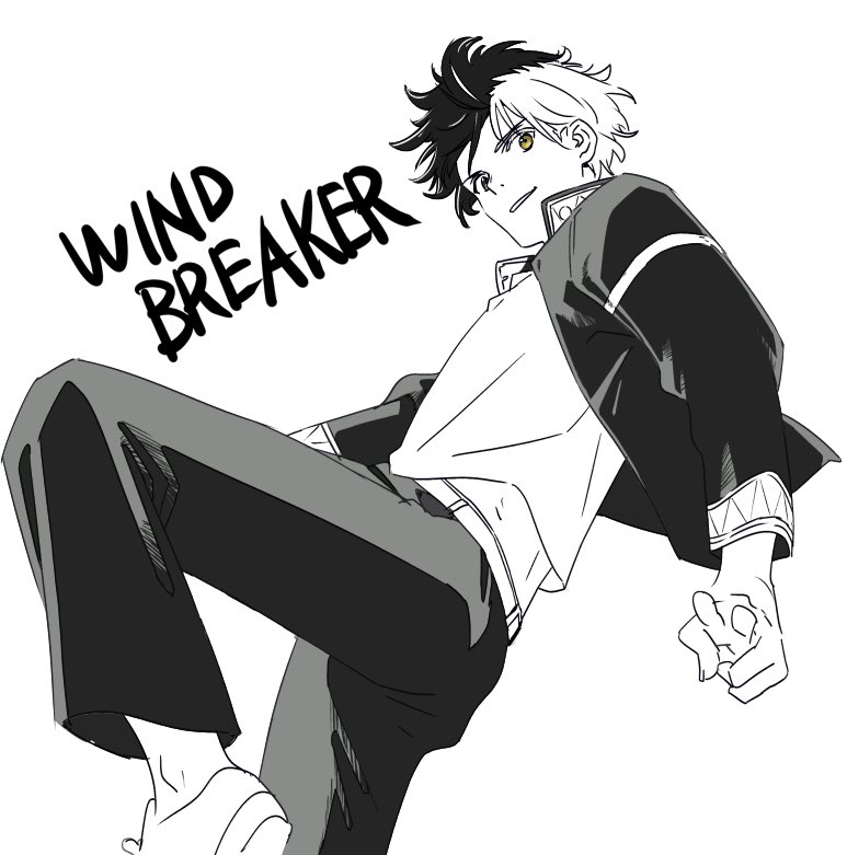 Wind Breaker 2