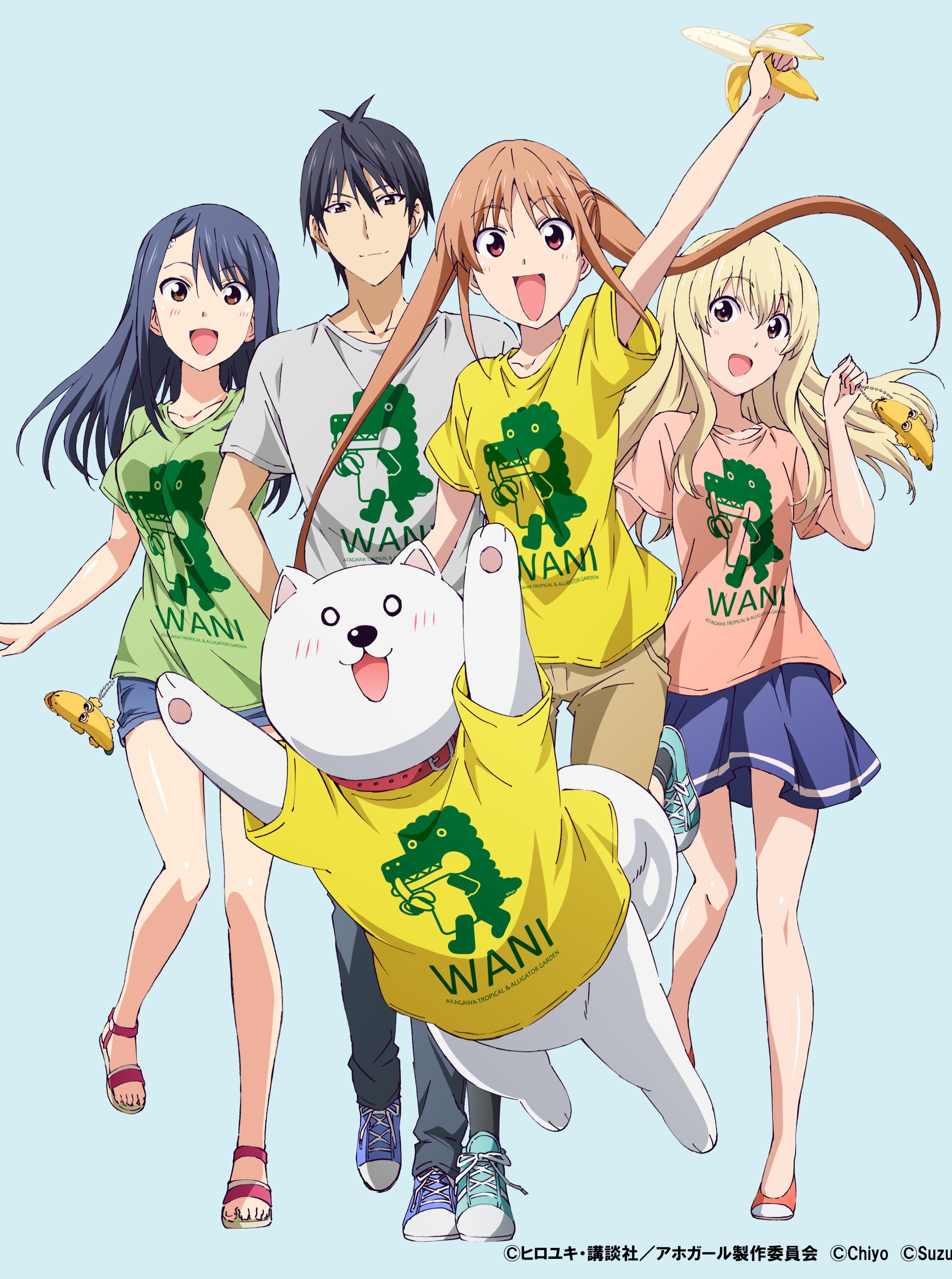 Aho Girl