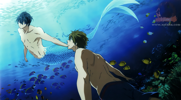 Free! !