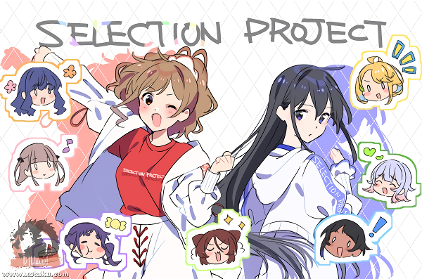 Selection Project