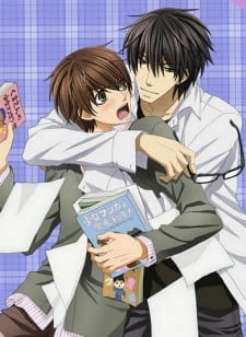 Sekaiichi Hatsukoi: Valentine-hen — الغلاف الرسمي