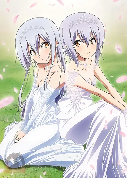 Island official image 8 Island official image 8