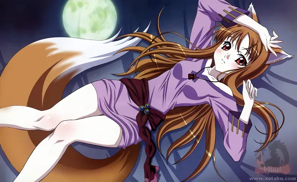 Ookami to Koushinryou official image 4