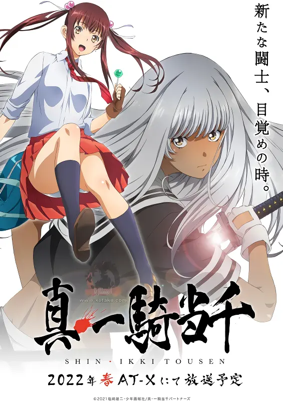 Shin Ikkitousen official image 1