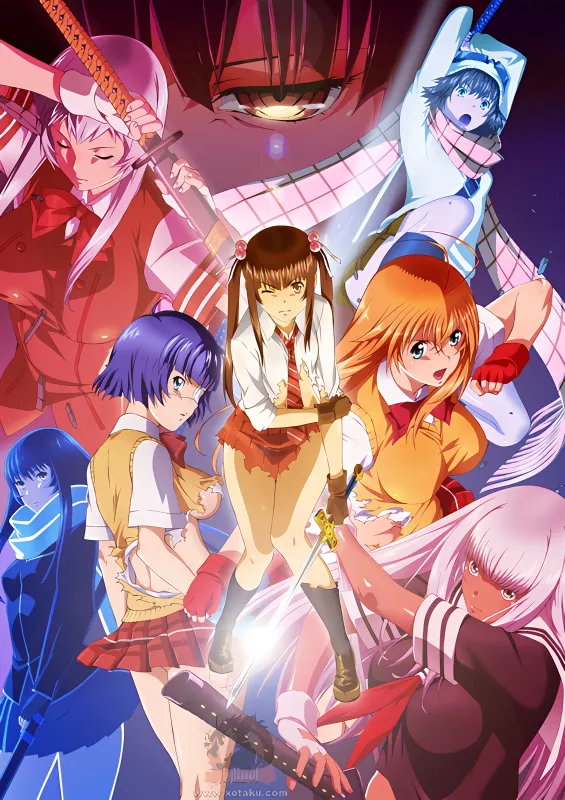 Shin Ikkitousen official cover