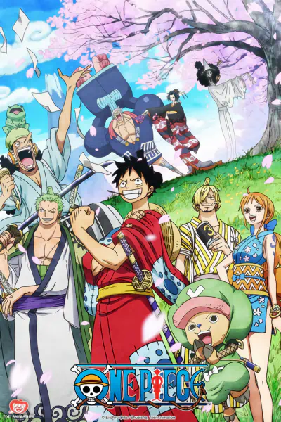 One Piece official image 17