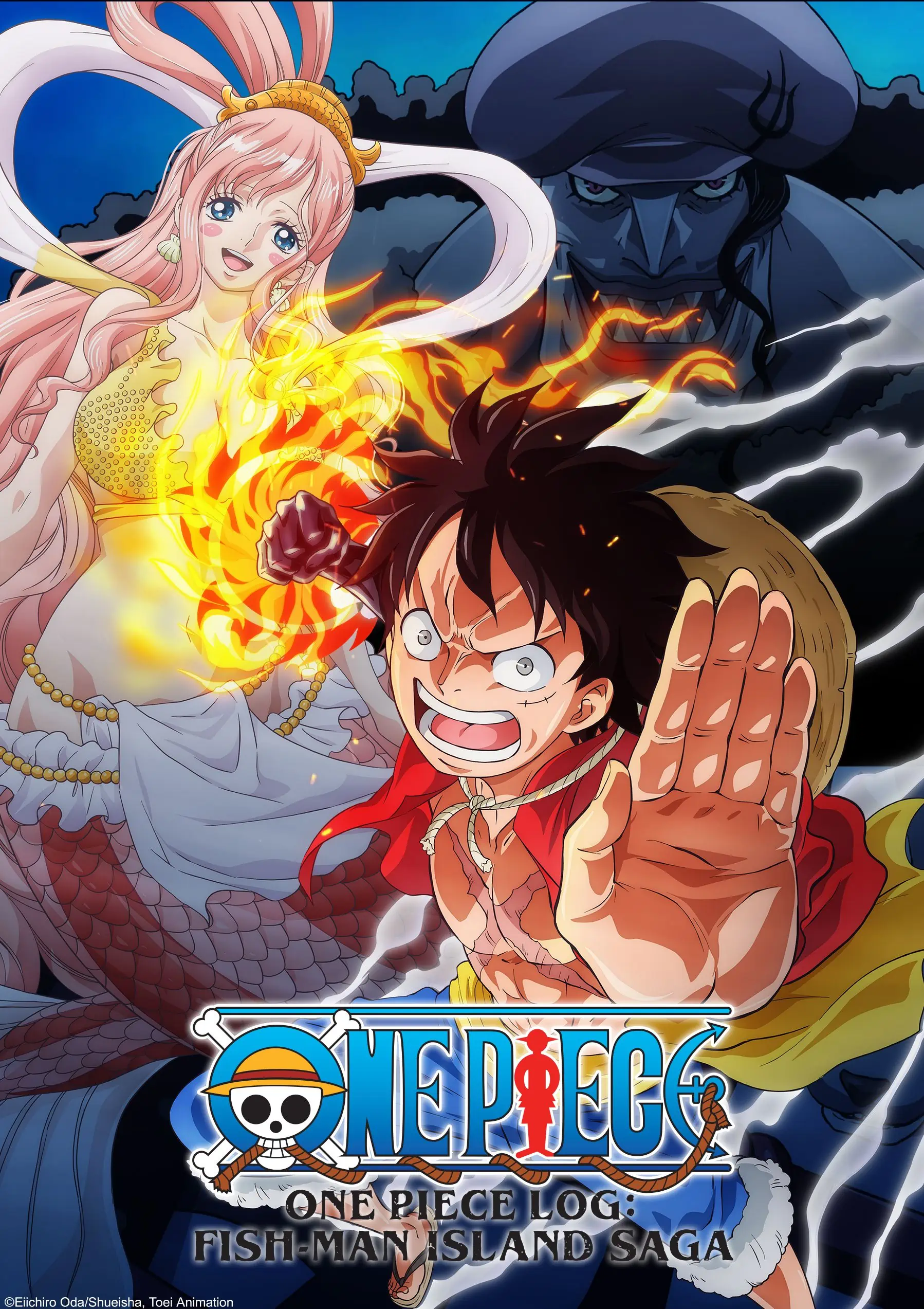 One Piece official image 24