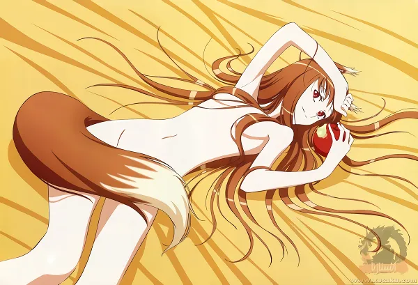 Ookami to Koushinryou II — صورة رسمية 7