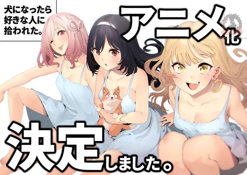 Inu ni Nattara Suki na Hito ni Hirowareta. official image 4