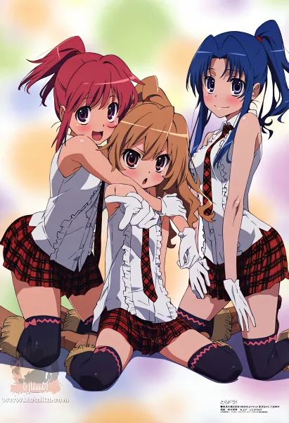 Toradora! — صورة رسمية 1