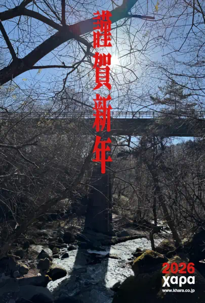 Evangelion: Housou 30-shuunen Kinen Tokubetsu Kougyou official image 2