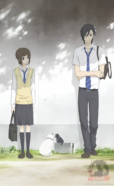 Suki tte Ii na yo. official image 8