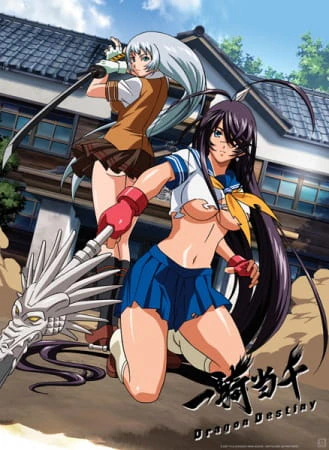 Ikkitousen: Dragon Destiny official image 2