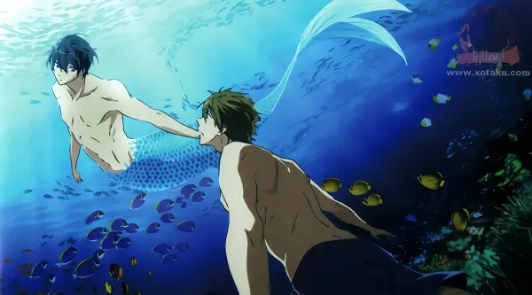 Free! official image 2