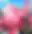 Girly Air Force official image 2 — blurred preview Girly Air Force official image 2 — blurred preview