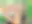 Dog Signal — صورة رسمية 1 — معاينة مموّهة Dog Signal — صورة رسمية 1 — معاينة مموّهة