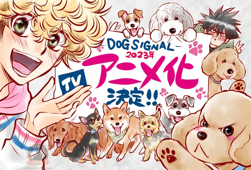 Dog Signal — صورة رسمية 3 Dog Signal — صورة رسمية 3
