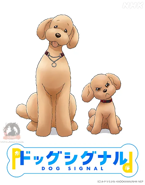 Dog Signal — صورة رسمية 2 Dog Signal — صورة رسمية 2
