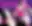 Mawaru Penguindrum official image 10 — blurred preview