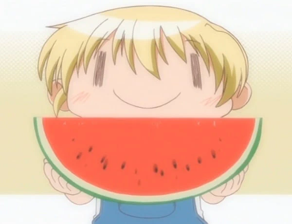 Hidamari Sketch: Chou Hidamatsuri Special official cover