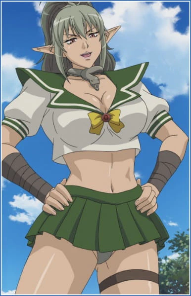 Queen's Blade: Gyokuza wo Tsugu Mono Specials — الغلاف الرسمي
