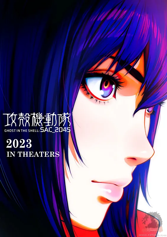 Koukaku Kidoutai: SAC_2045 - Saigo no Ningen official image 2