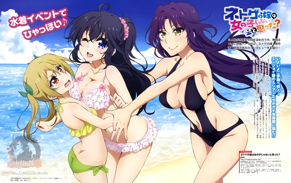 Netoge no Yome wa Onnanoko ja Nai to Omotta? — صورة رسمية 1 Netoge no Yome wa Onnanoko ja Nai to Omotta? — صورة رسمية 1