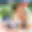Photon official image 5 — blurred preview