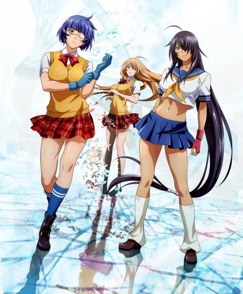 Ikkitousen: Western Wolves official image 1