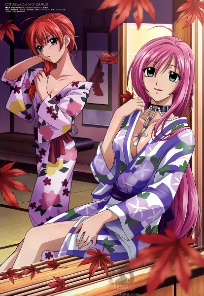 Rosario to Vampire — صورة رسمية 5
