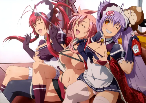 Hyakka Ryouran: Samurai Girls official image 2