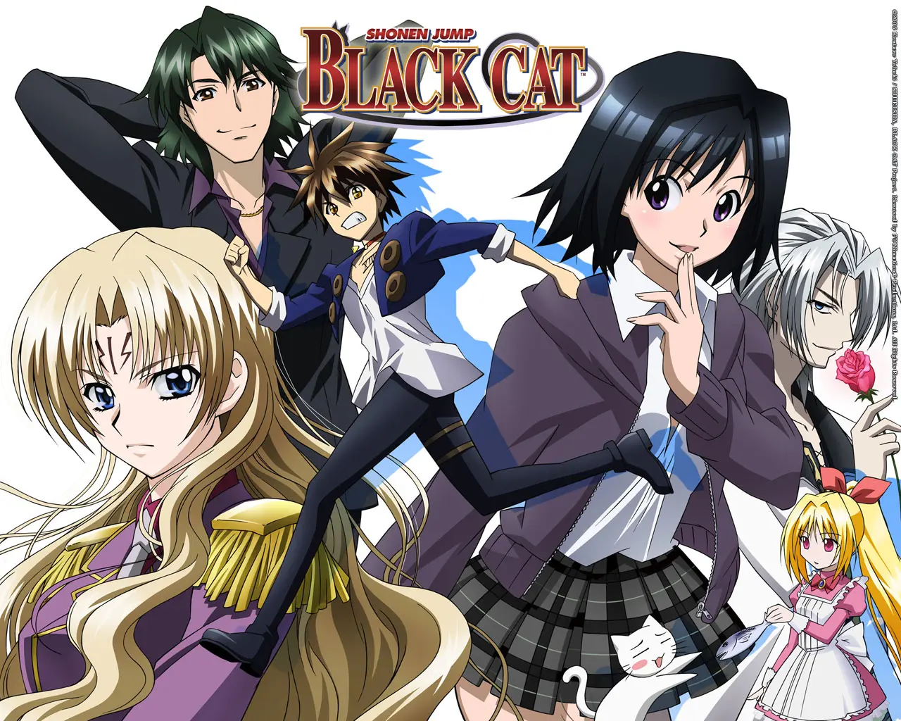 Black Cat official image 2