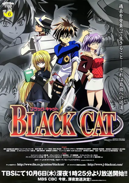 Black Cat official image 3