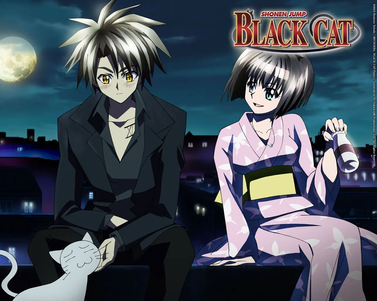 Black Cat official image 5