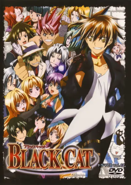 Black Cat official image 14