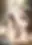 Spy x Family Season 3 official image 4 — blurred preview Spy x Family Season 3 official image 4 — blurred preview