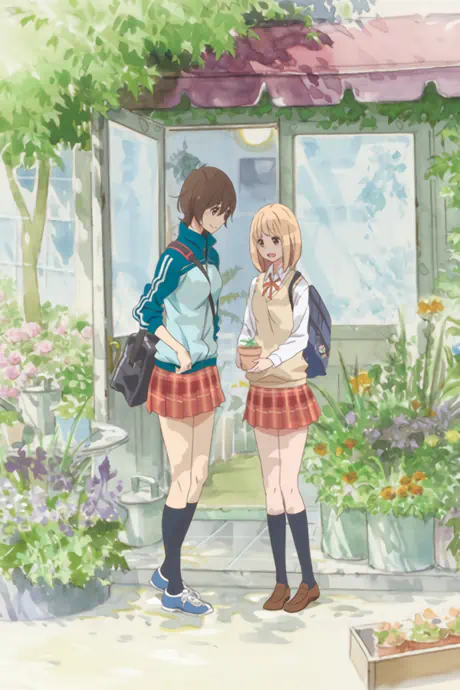 Asagao to Kase-san. — الغلاف الرسمي