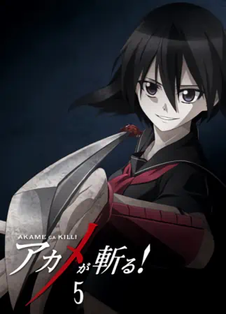 Akame ga Kill! — صورة رسمية 10