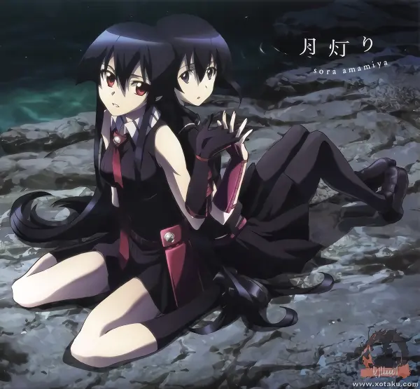 Akame ga Kill! — صورة رسمية 6