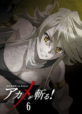 Akame ga Kill! — صورة رسمية 8
