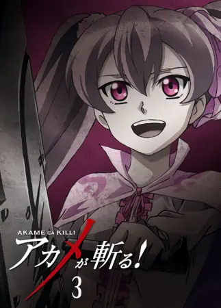 Akame ga Kill! — صورة رسمية 5