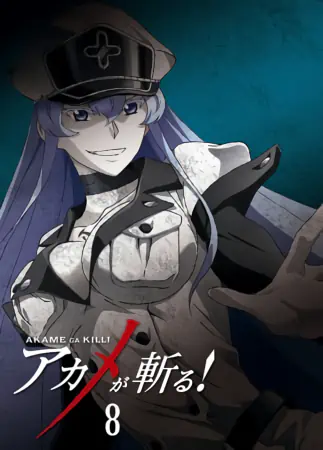 Akame ga Kill! — صورة رسمية 4
