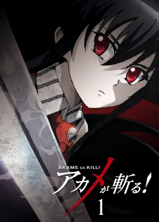 Akame ga Kill! — صورة رسمية 12