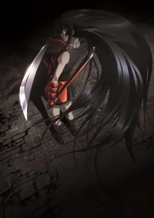 Akame ga Kill! — صورة رسمية 14