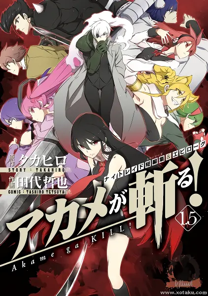 Akame ga Kill! — صورة رسمية 2