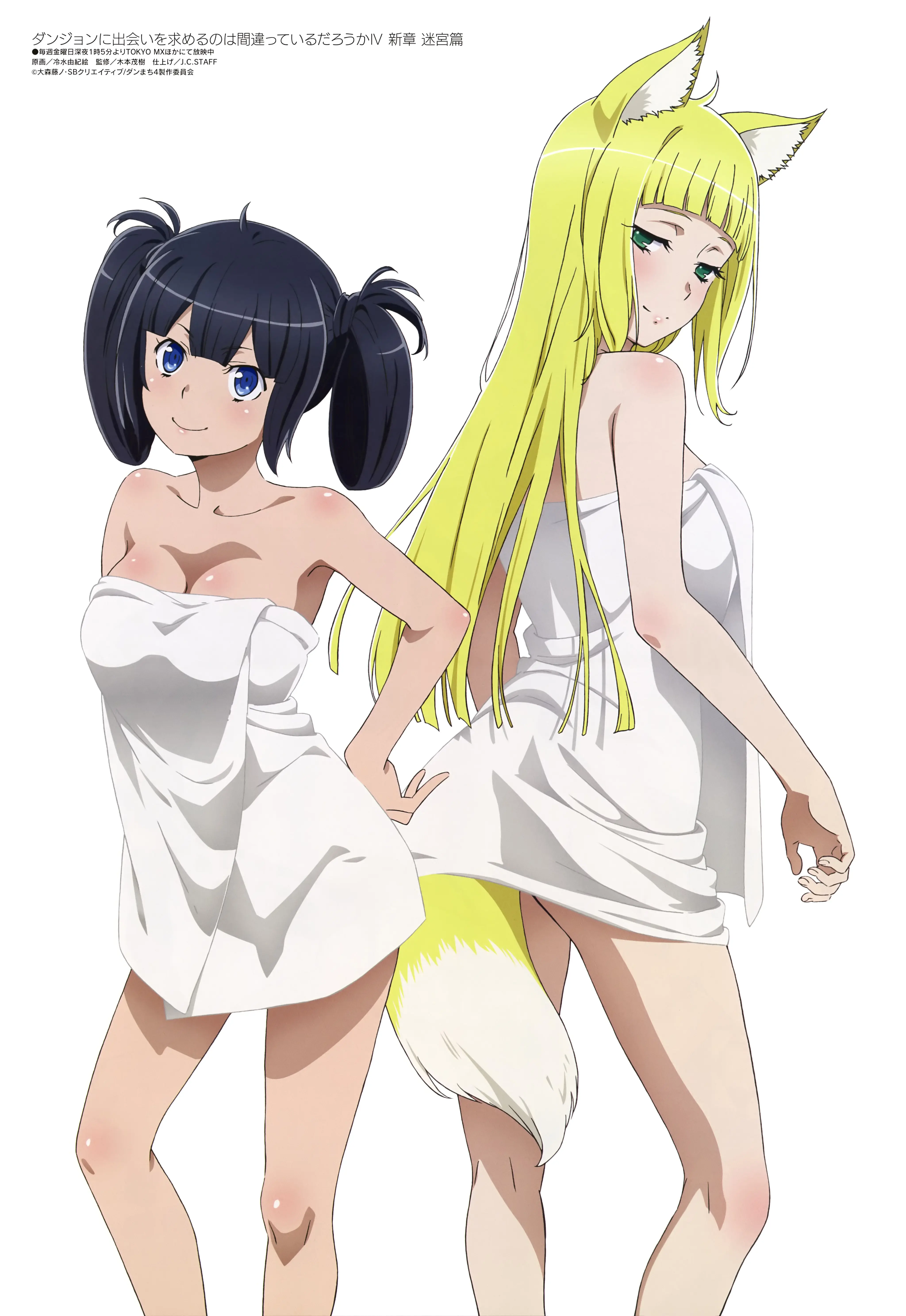 Dungeon ni Deai wo Motomeru no wa Machigatteiru Darou ka official image 6
