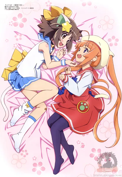 Etotama: Nyankyaku Banrai official image 1