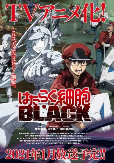 Hataraku Saibou Black official image 2