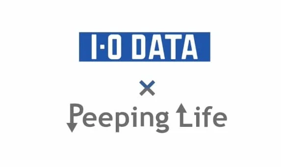 Peeping Life x I-O Data: Quiz!! Input Output official cover