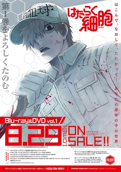 Hataraku Saibou official image 1